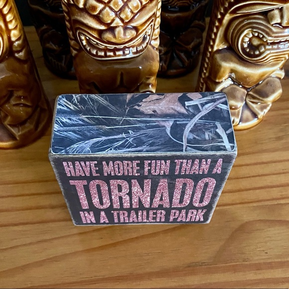 Have More Fun than a Tornado in a Trailer Park - Pink Glitter - Picture 7 of 11